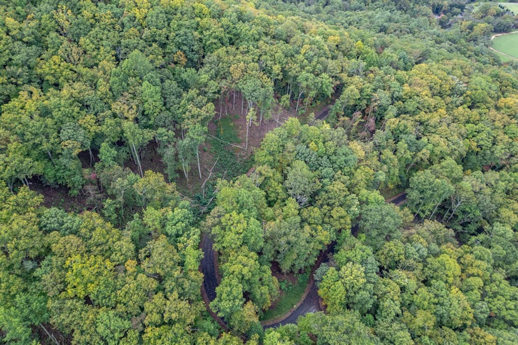 Lot 20 Buckhead Hills, Hiawassee GA 30546 - Photo