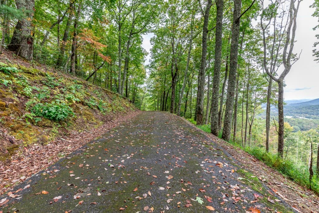 Lot 20 Buckhead Hills, Hiawassee GA 30546 - Photo