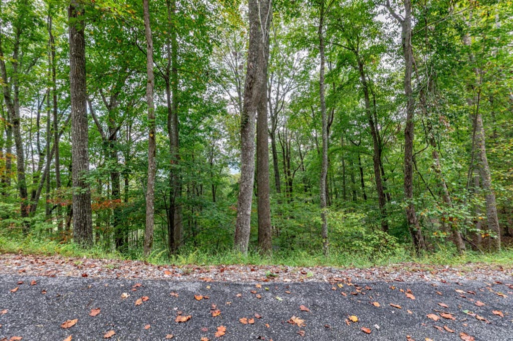 Lot 20 Buckhead Hills, Hiawassee GA 30546 - Photo