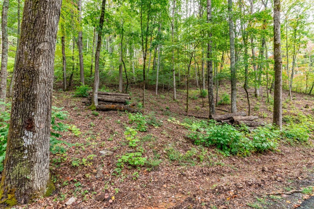 Lot 20 Buckhead Hills, Hiawassee GA 30546 - Photo