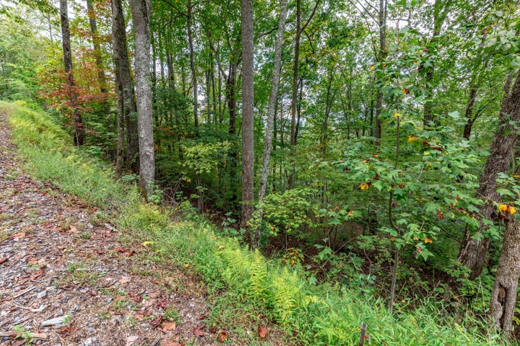 Lot 20 Buckhead Hills, Hiawassee GA 30546 - Photo