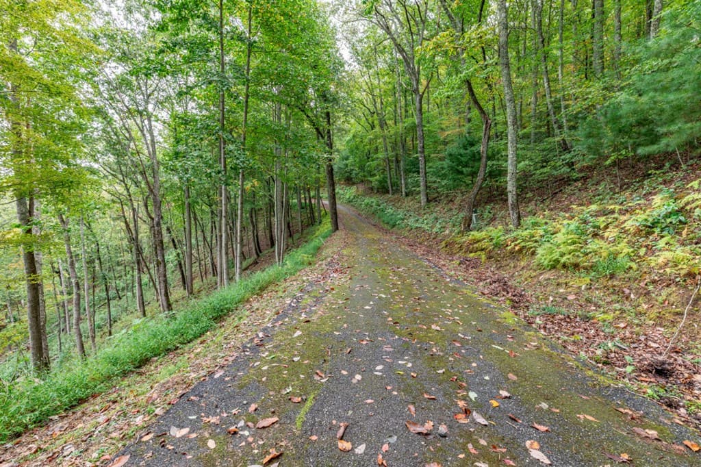 Lot 20 Buckhead Hills, Hiawassee GA 30546 - Photo
