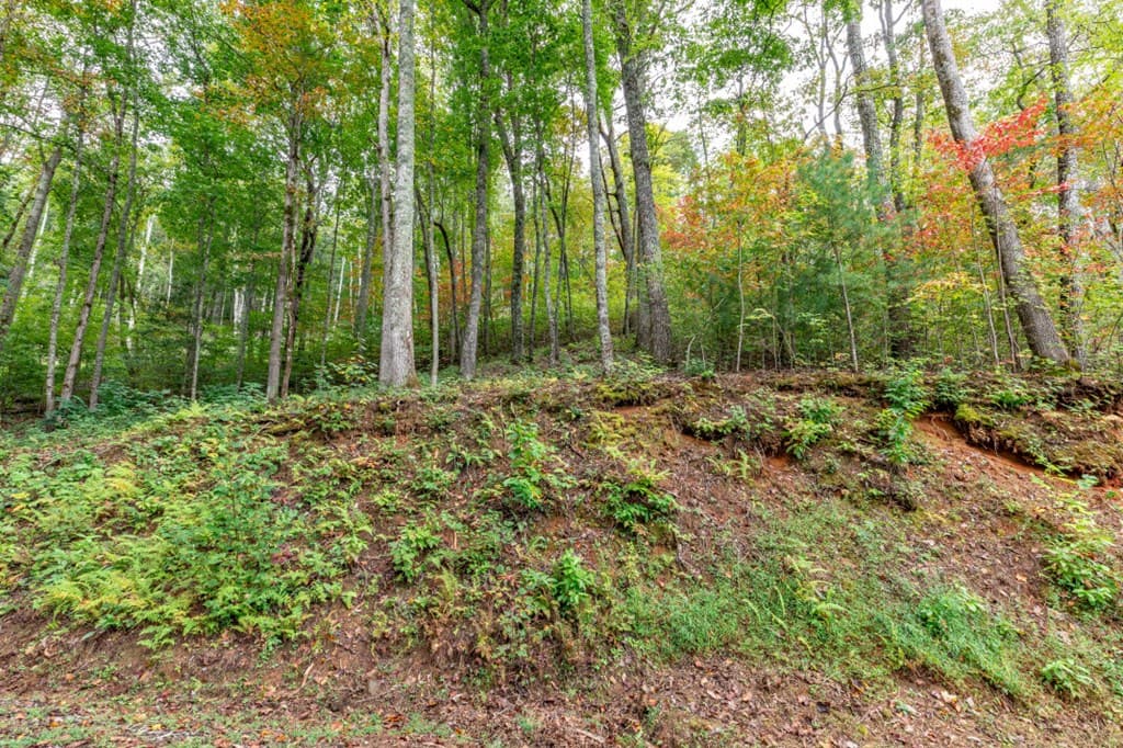 Lot 20 Buckhead Hills, Hiawassee GA 30546 - Photo