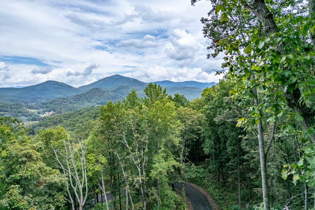 Lot 20 Buckhead Hills, Hiawassee GA 30546 - Photo
