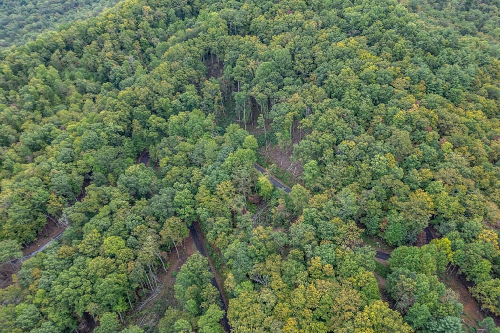 Lot 20 Buckhead Hills, Hiawassee GA 30546 - Photo