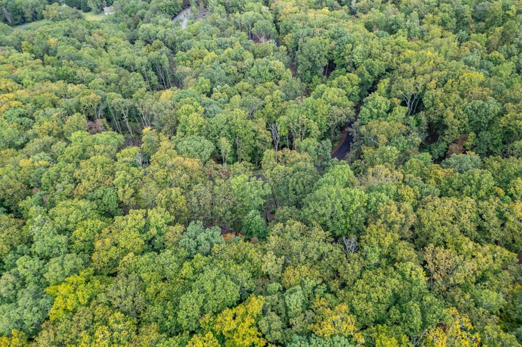 Lot 20 Buckhead Hills, Hiawassee GA 30546 - Photo