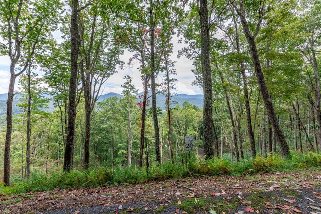 Lot 20 Buckhead Hills, Hiawassee GA 30546 - Photo