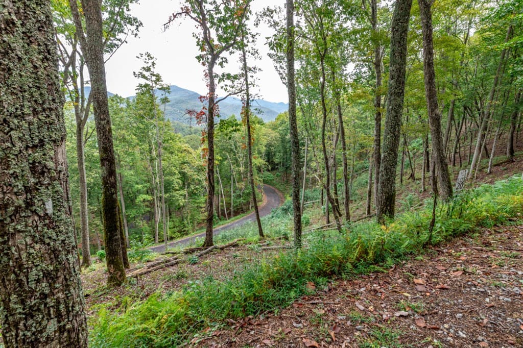 Lot 20 Buckhead Hills, Hiawassee GA 30546 - Photo