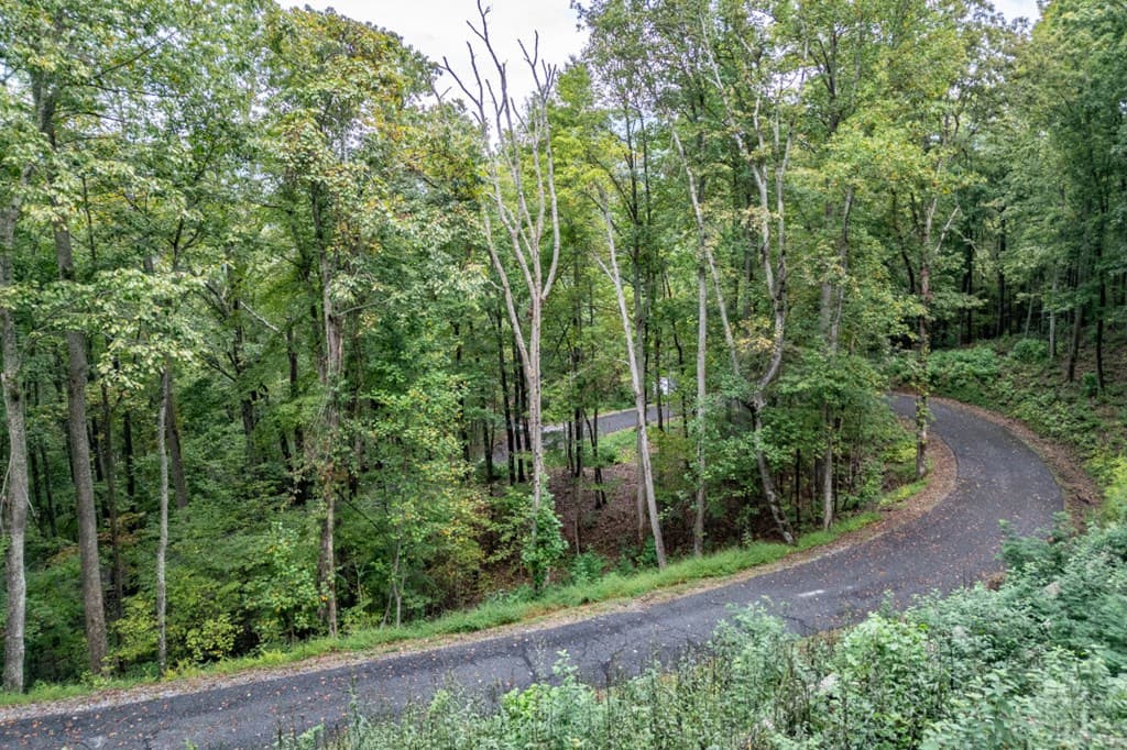 Lot 20 Buckhead Hills, Hiawassee GA 30546 - Photo