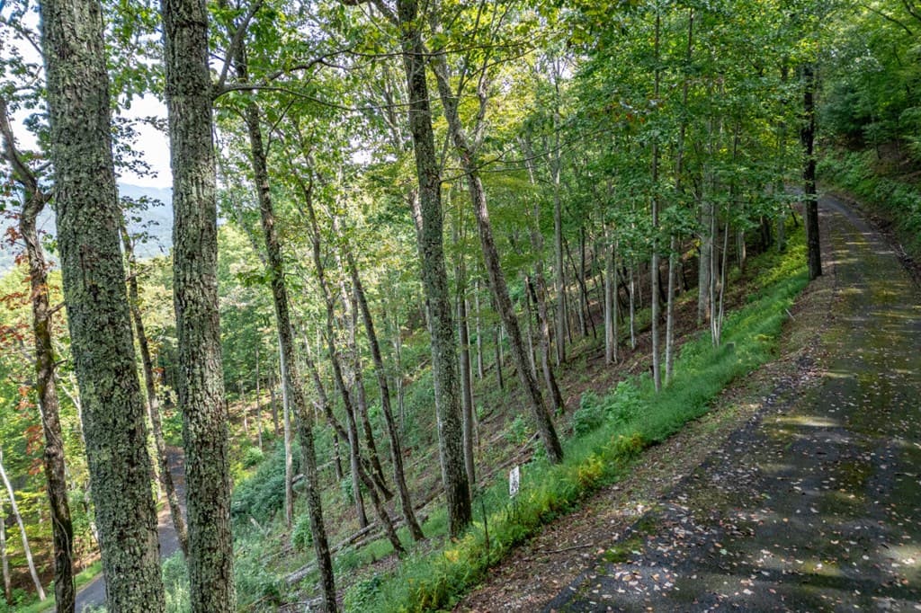 Lot 20 Buckhead Hills, Hiawassee GA 30546 - Photo