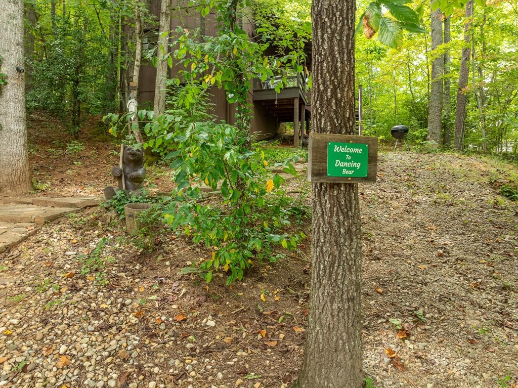 55 Misty Mountain Lane, Blairsville GA 30512 - Photo