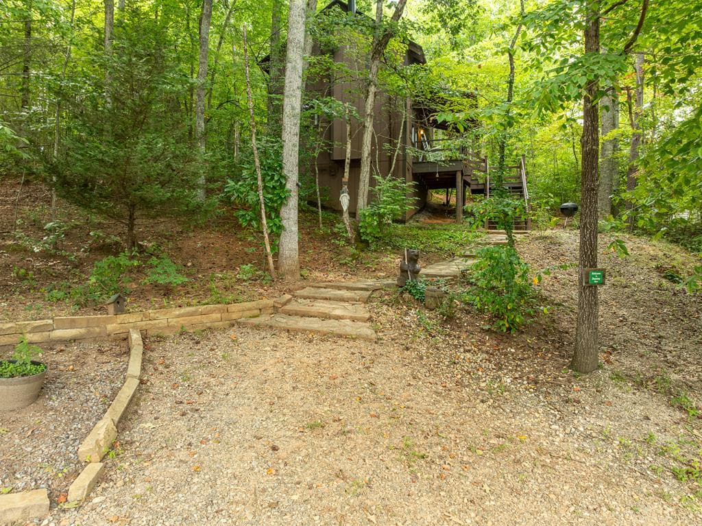 55 Misty Mountain Lane, Blairsville GA 30512 - Photo