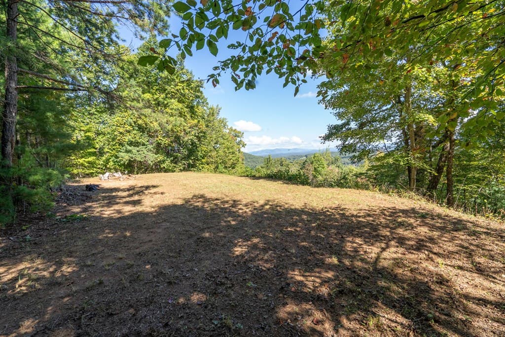 Lot 6/7 Raintree Bend, Blue Ridge GA 30513 - Photo