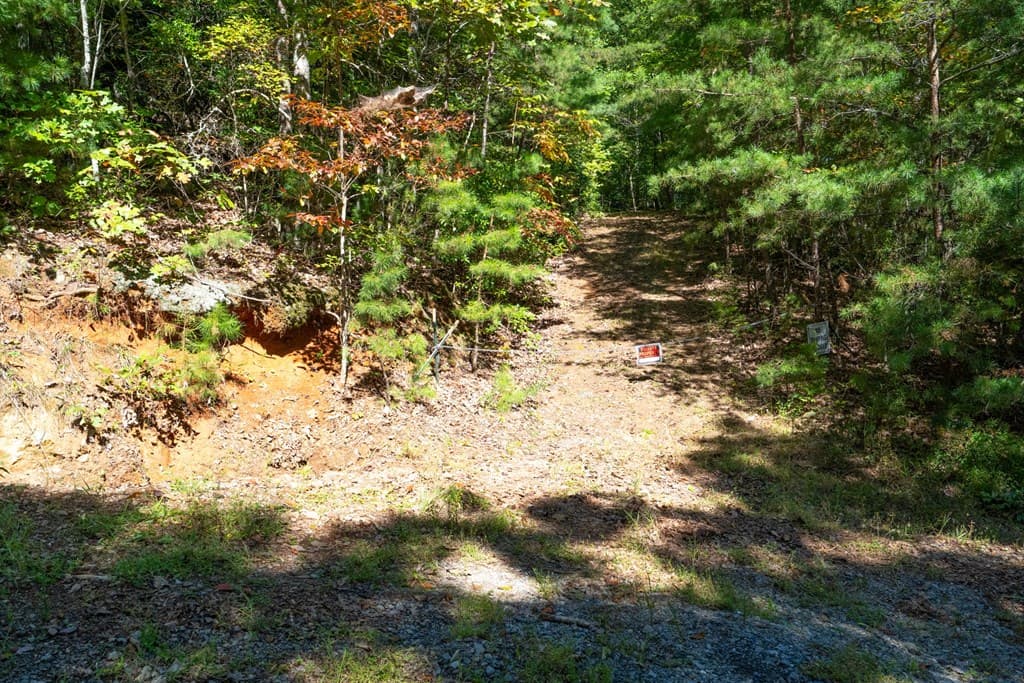 Lot 6/7 Raintree Bend, Blue Ridge GA 30513 - Photo