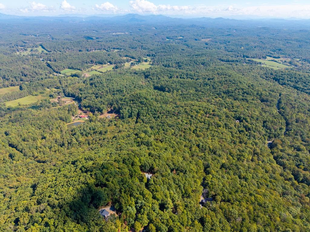 Lot 6/7 Raintree Bend, Blue Ridge GA 30513 - Photo