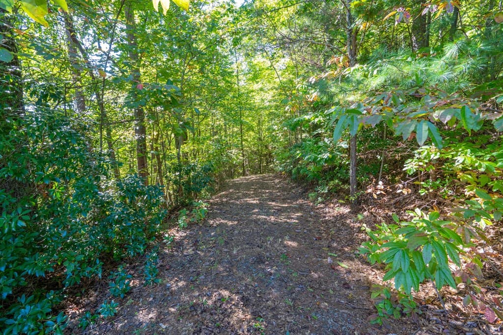 Lot 6/7 Raintree Bend, Blue Ridge GA 30513 - Photo