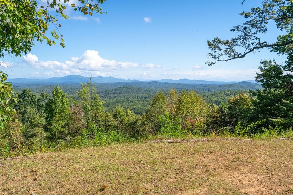 Lot 6/7 Raintree Bend, Blue Ridge GA 30513 - Primary photo