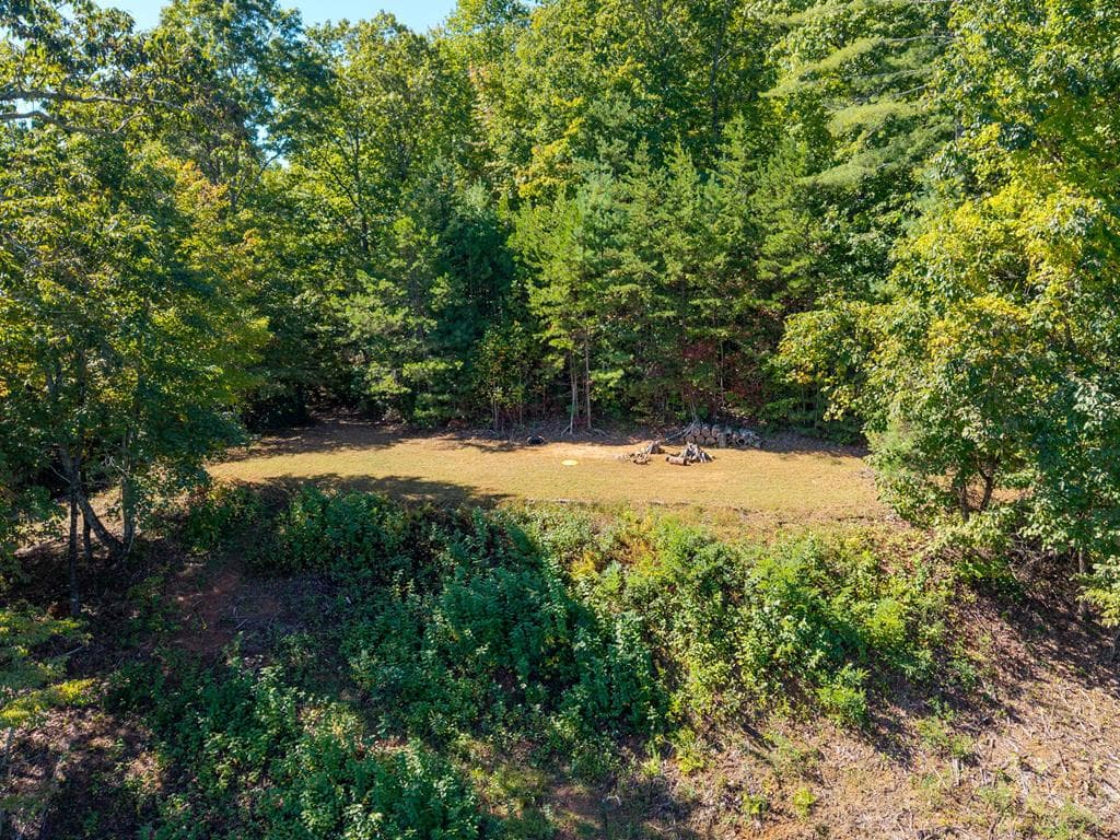 Lot 6/7 Raintree Bend, Blue Ridge GA 30513 - Photo