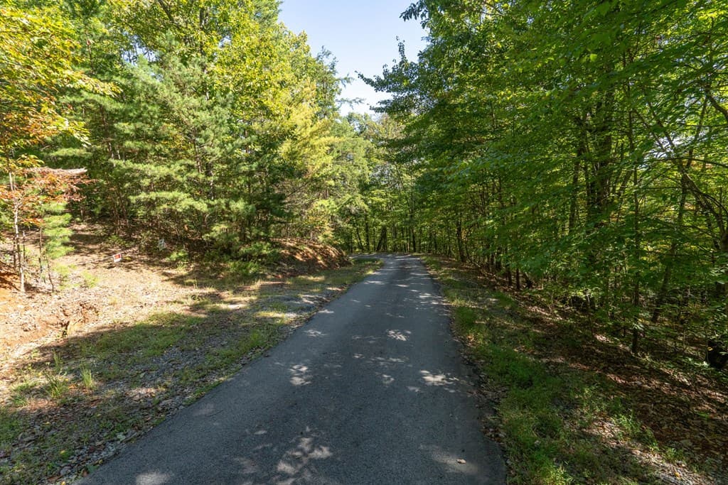 Lot 6/7 Raintree Bend, Blue Ridge GA 30513 - Photo