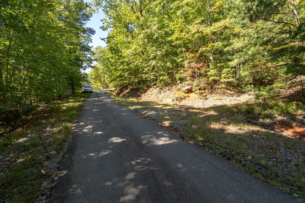 Lot 6/7 Raintree Bend, Blue Ridge GA 30513 - Photo