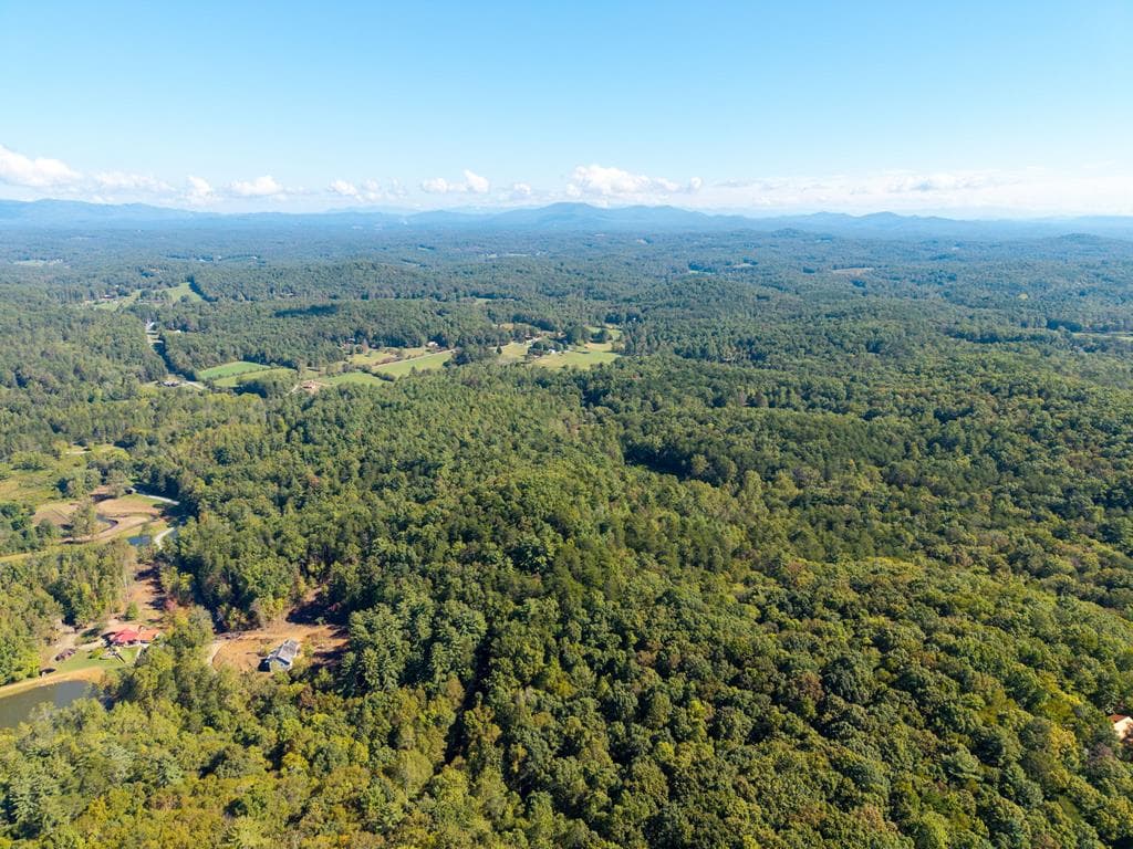 Lot 6/7 Raintree Bend, Blue Ridge GA 30513 - Photo