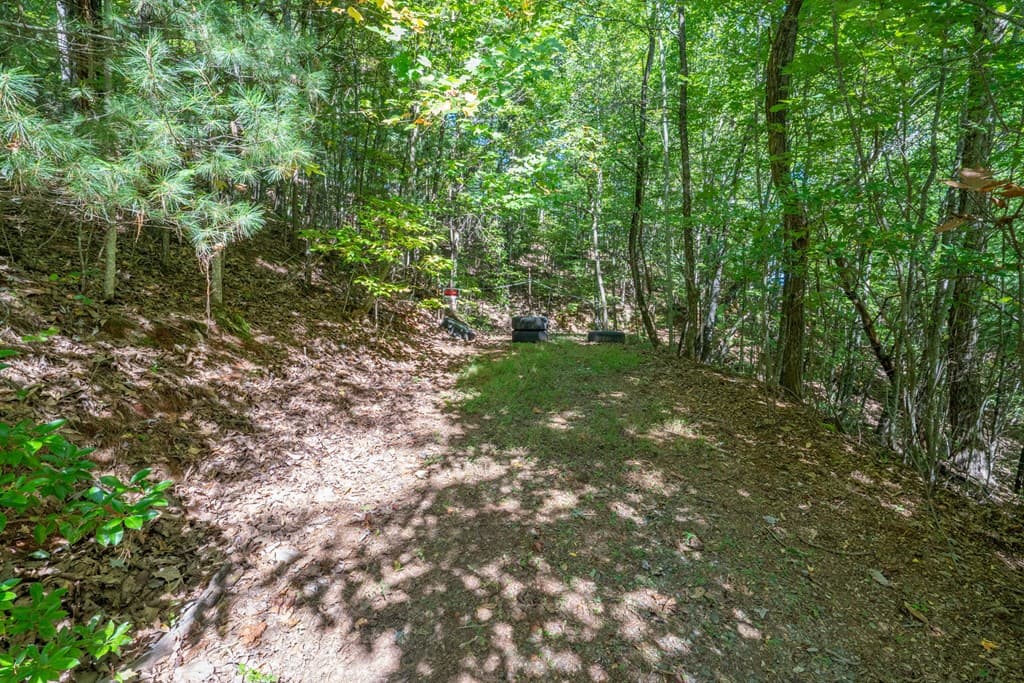 Lot 6/7 Raintree Bend, Blue Ridge GA 30513 - Photo