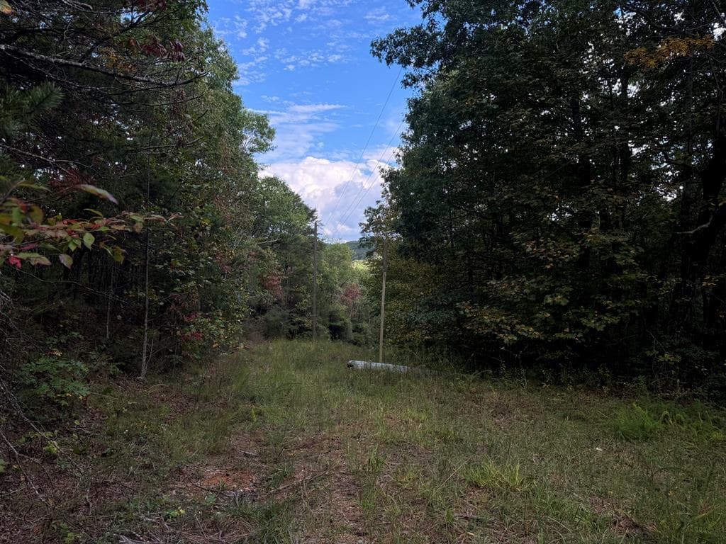 13.57 Ac Burnt Mountain Cove Road, Jasper GA 30143 - Photo