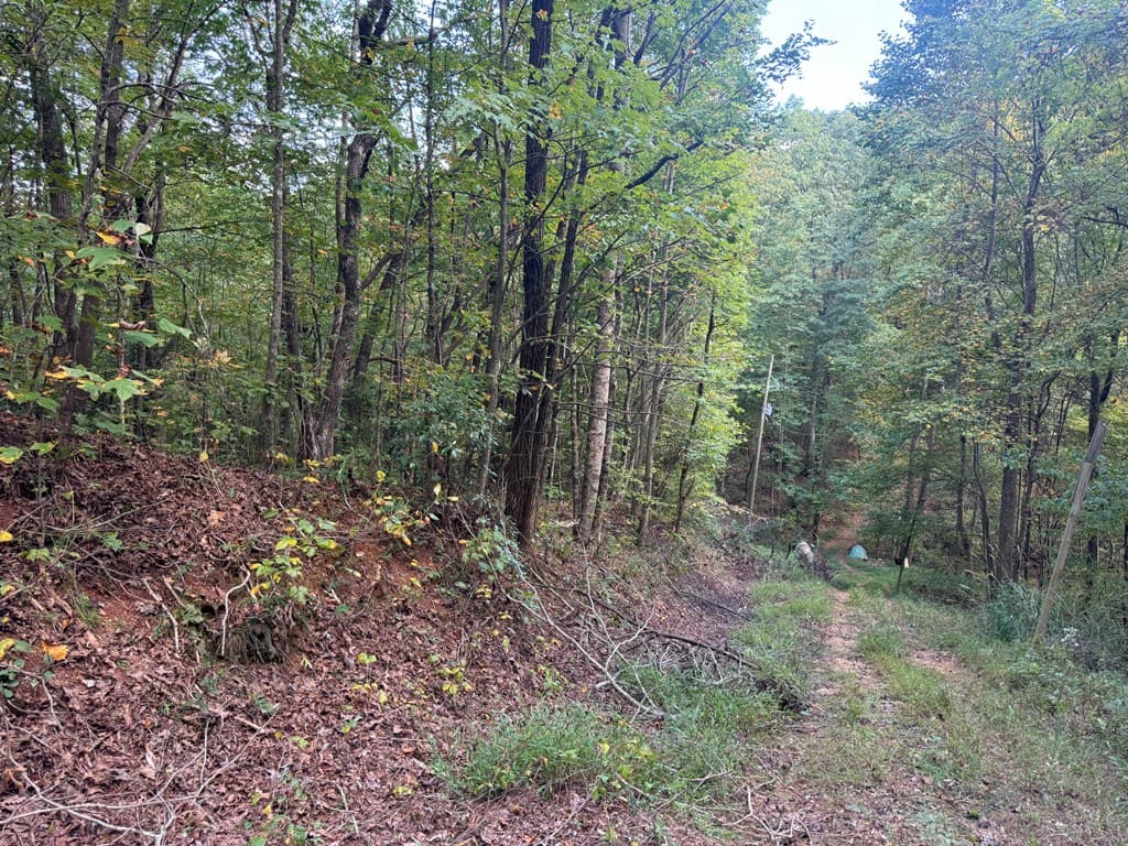 13.57 Ac Burnt Mountain Cove Road, Jasper GA 30143 - Photo
