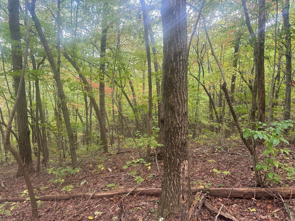13.57 Ac Burnt Mountain Cove Road, Jasper GA 30143 - Photo
