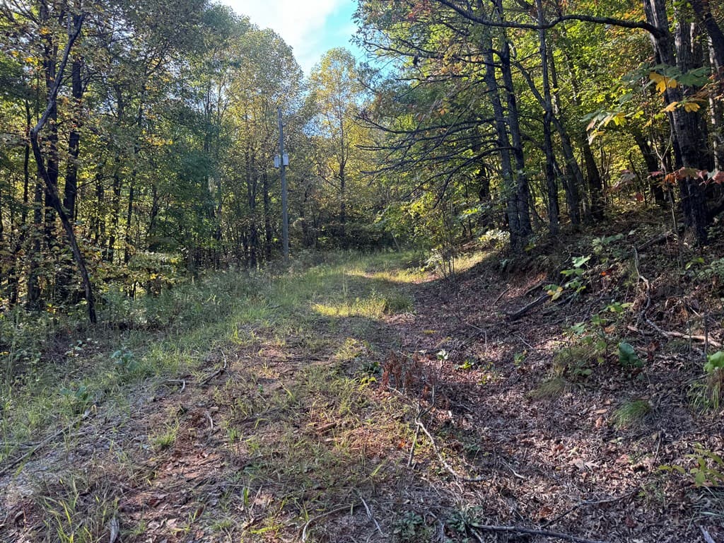 13.57 Ac Burnt Mountain Cove Road, Jasper GA 30143 - Photo