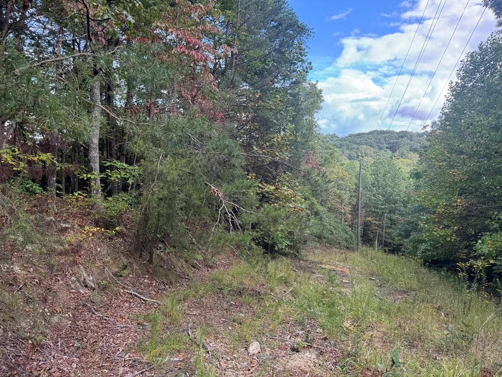 13.57 Ac Burnt Mountain Cove Road, Jasper GA 30143 - Primary photo