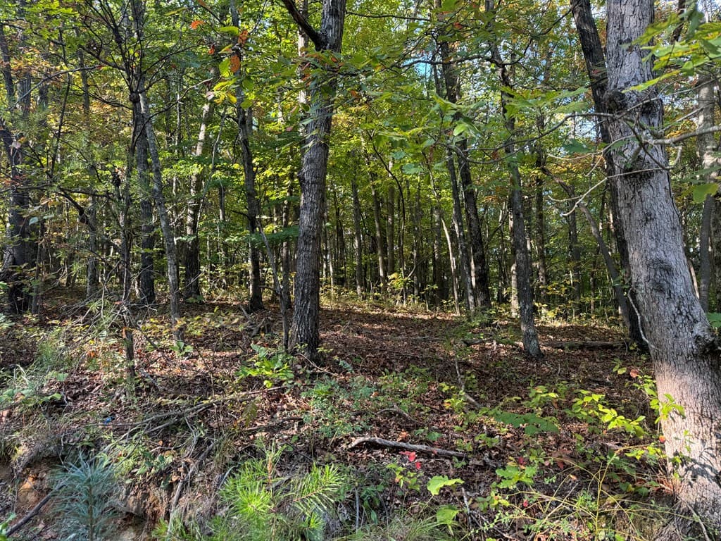 13.57 Ac Burnt Mountain Cove Road, Jasper GA 30143 - Photo