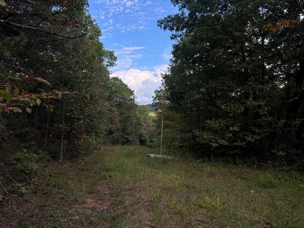 13.57 Ac Burnt Mountain Cove Road, Jasper GA 30143 - Photo