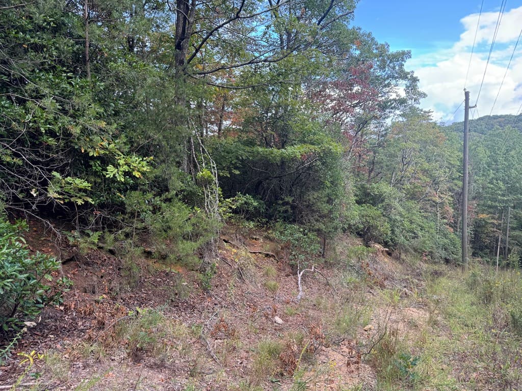 13.57 Ac Burnt Mountain Cove Road, Jasper GA 30143 - Photo