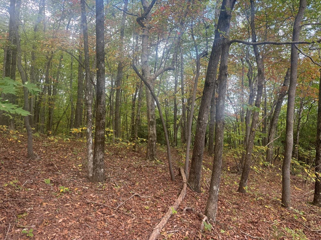 13.57 Ac Burnt Mountain Cove Road, Jasper GA 30143 - Photo