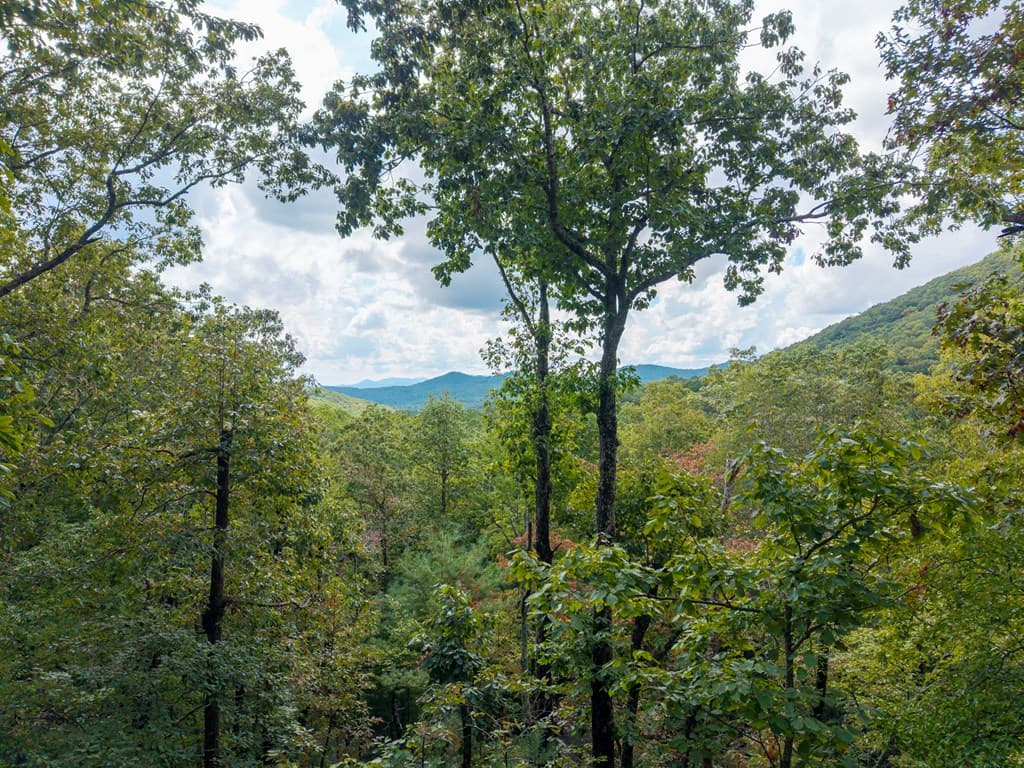 205 Copper Mountain Drive, Murphy NC 28906 - Photo