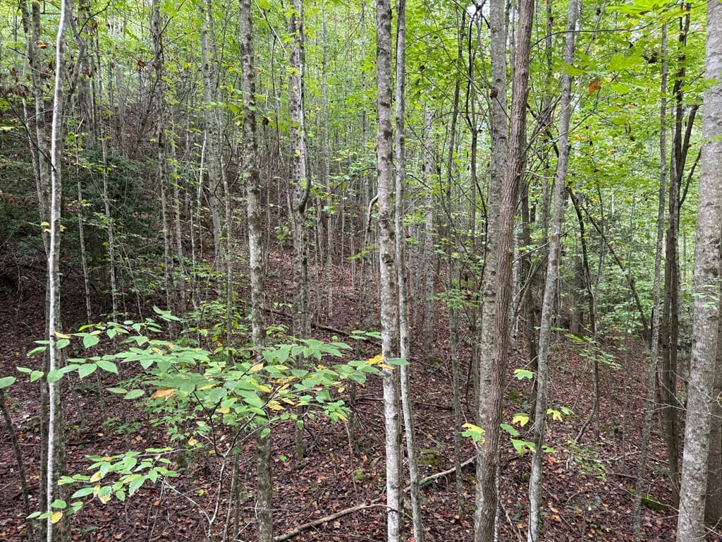 0 Reserve Estates, Murphy NC 28906 - Photo