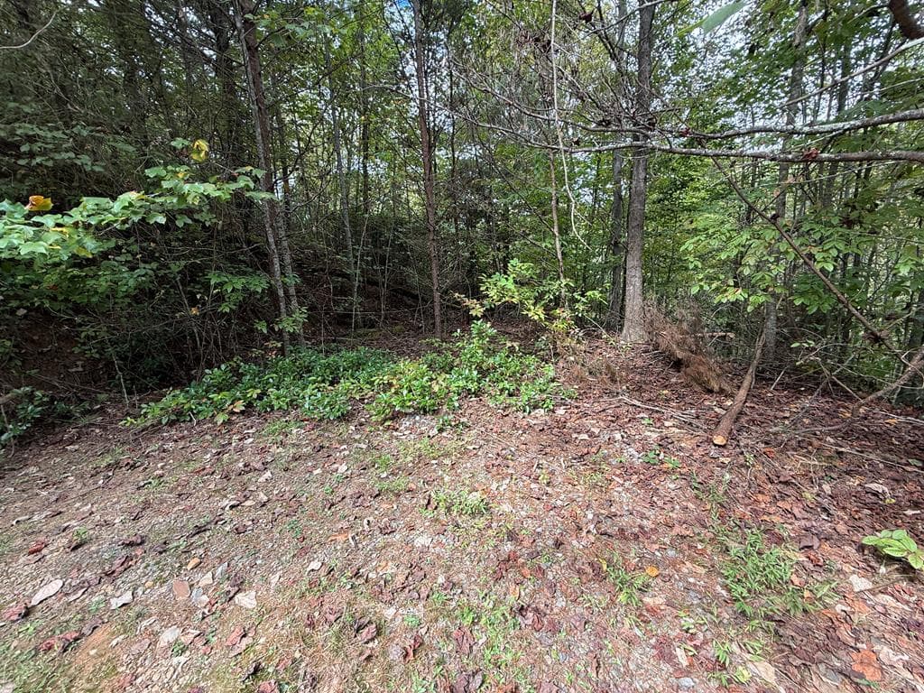 0 Reserve Estates, Murphy NC 28906 - Primary photo