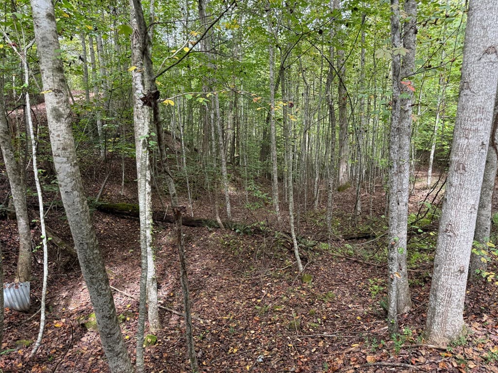0 Reserve Estates, Murphy NC 28906 - Photo