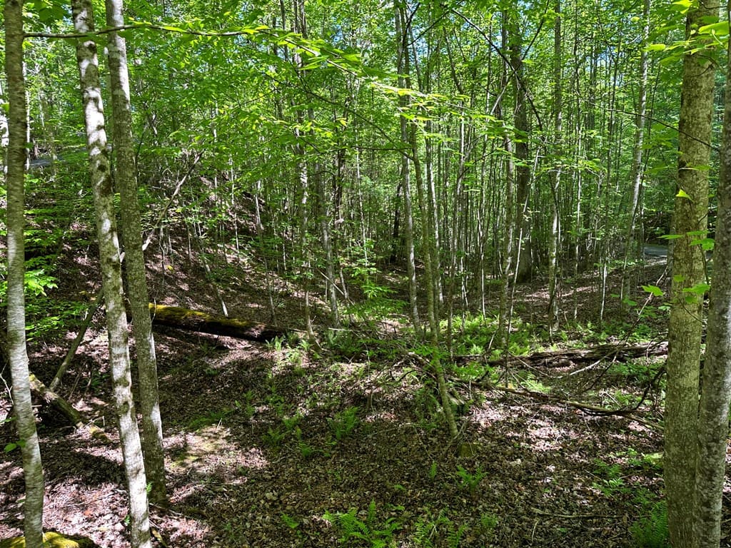 0 Reserve Estates, Murphy NC 28906 - Photo