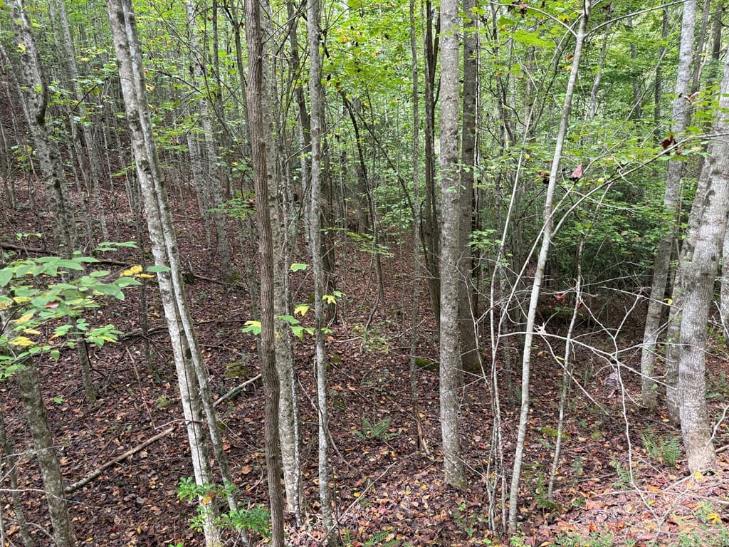 0 Reserve Estates, Murphy NC 28906 - Photo