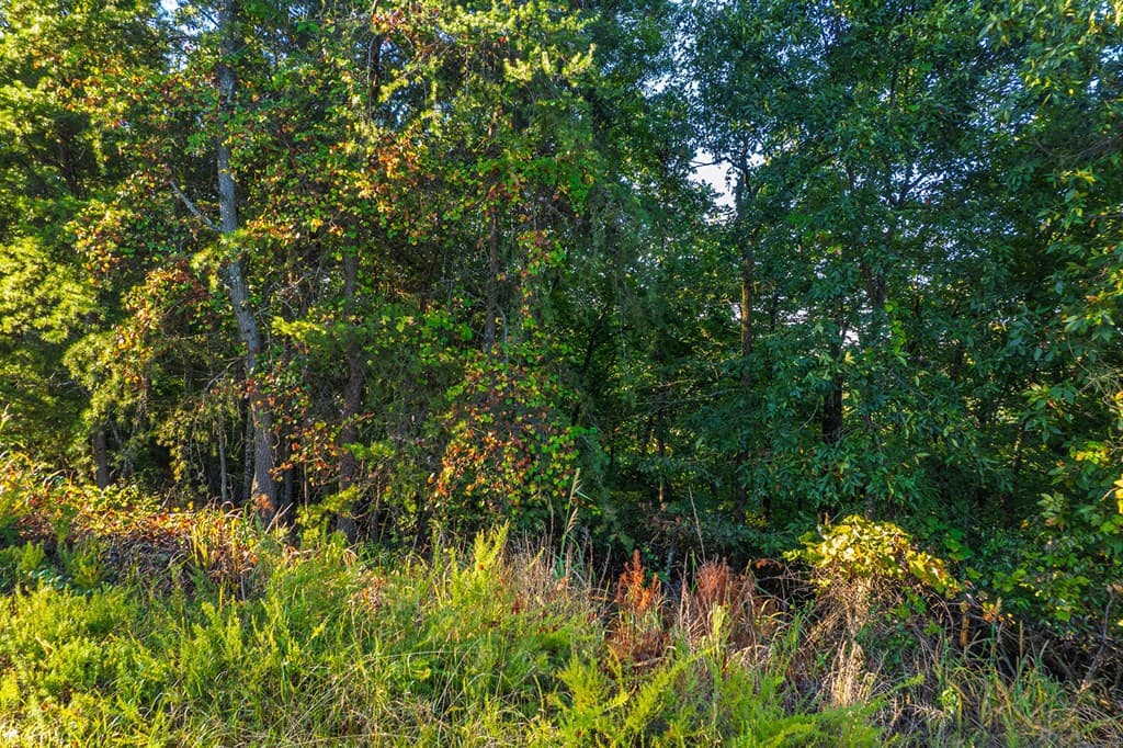 248 Stirratt Road, Ranger GA 30734 - Photo