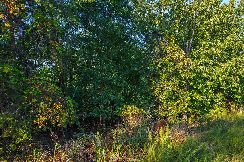 248 Stirratt Road, Ranger GA 30734 - Photo