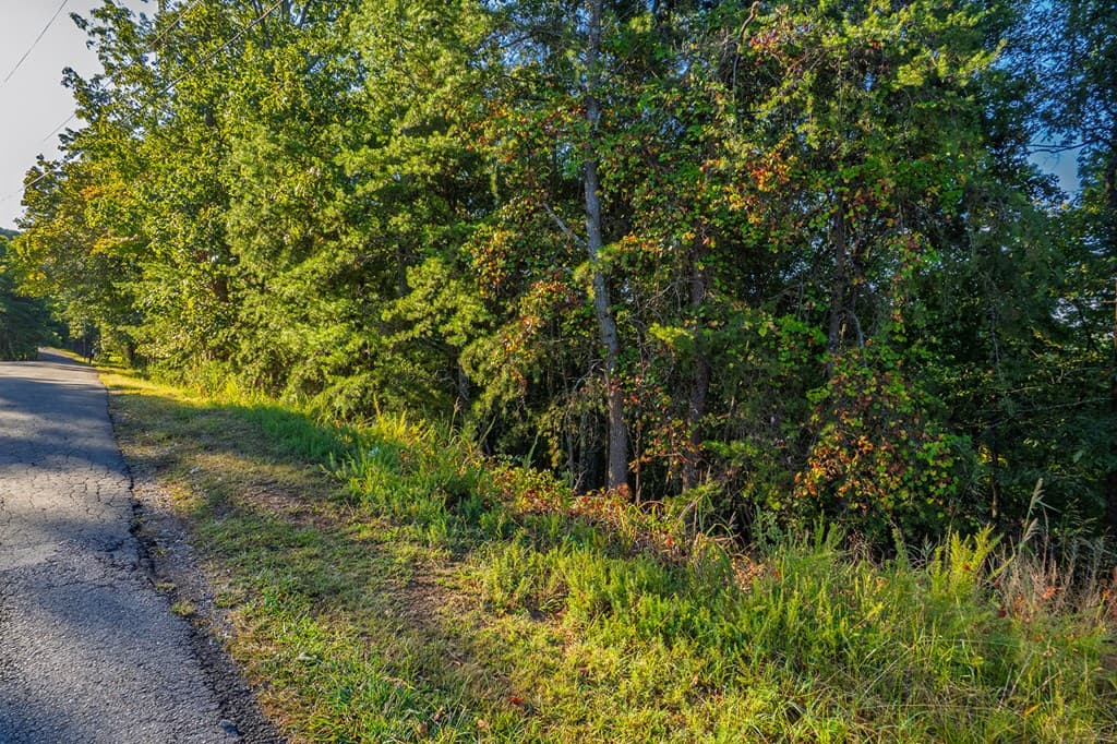 248 Stirratt Road, Ranger GA 30734 - Photo