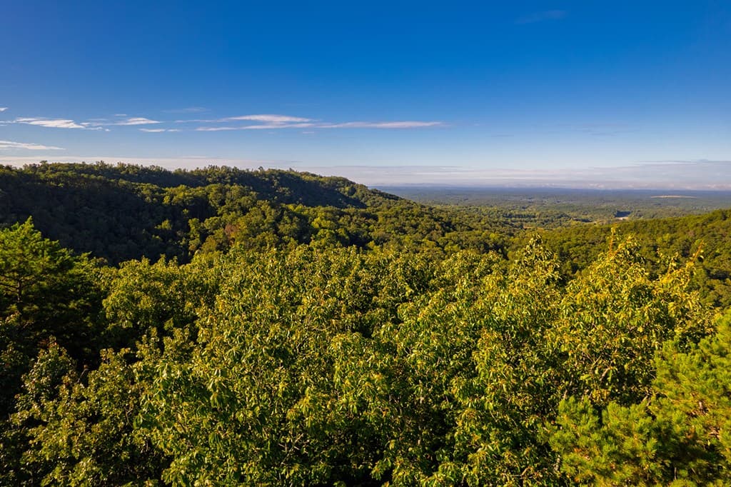 248 Stirratt Road, Ranger GA 30734 - Photo