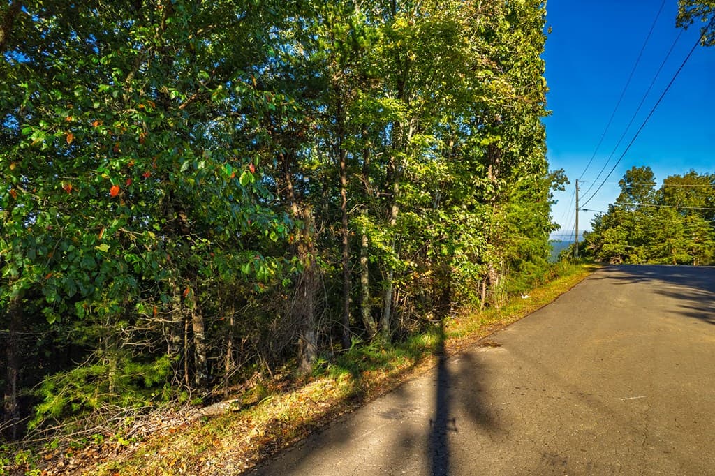 248 Stirratt Road, Ranger GA 30734 - Photo