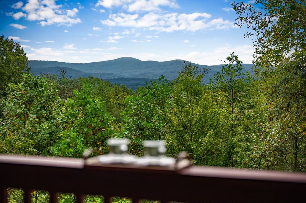 132 Newberry Street, Ellijay GA 30540 - Photo