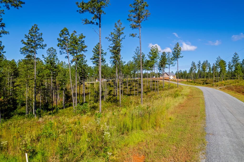 Lot 140 River Reach Lane, Talking Rock GA 30175 - Photo