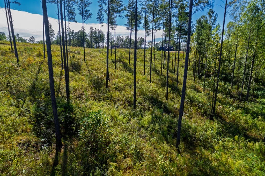 Lot 140 River Reach Lane, Talking Rock GA 30175 - Photo