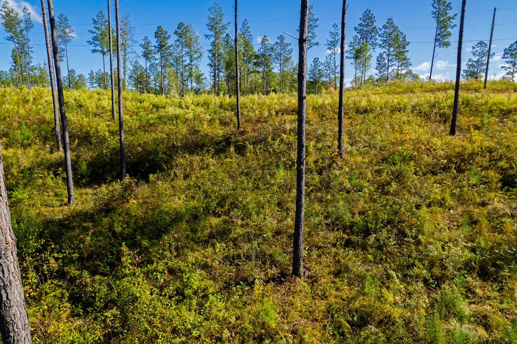 Lot 140 River Reach Lane, Talking Rock GA 30175 - Photo